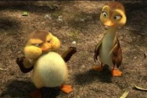 鸭子国产视频,鸭子的趣味生活大揭秘