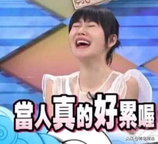 娱乐圈吃瓜劲爆小说推荐,揭秘明星背后的惊天秘密